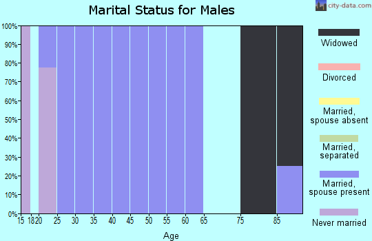 Zip code 35975 marital status for males