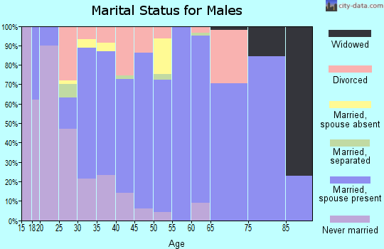 Zip code 35980 marital status for males