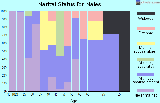 Zip code 35981 marital status for males