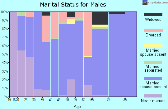 Zip code 35983 marital status for males