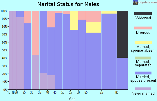 Zip code 35984 marital status for males