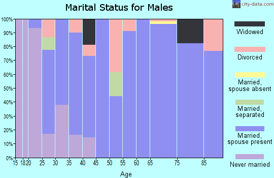 Zip code 35988 marital status for males