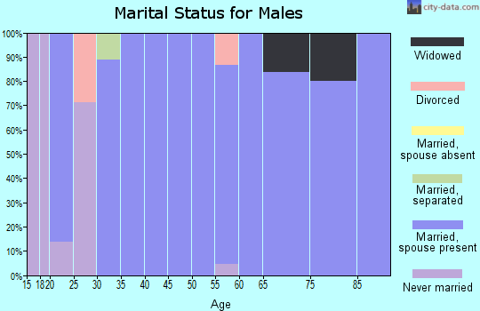 Zip code 36006 marital status for males