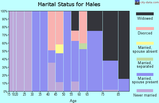 Zip code 36028 marital status for males