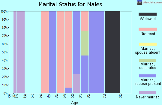 Zip code 36029 marital status for males