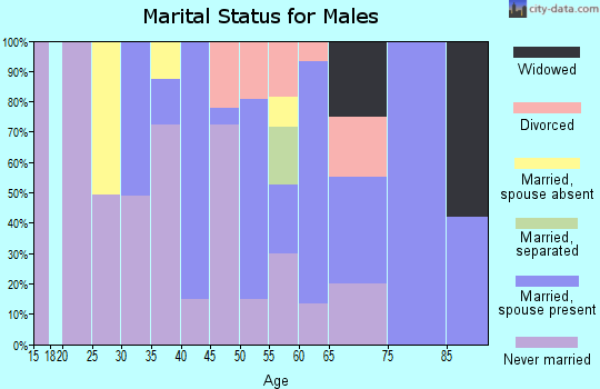 Zip code 36053 marital status for males