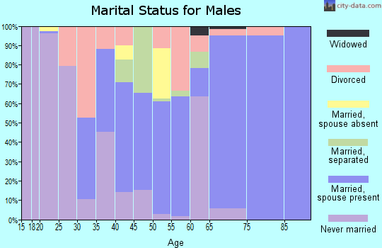 Zip code 36075 marital status for males