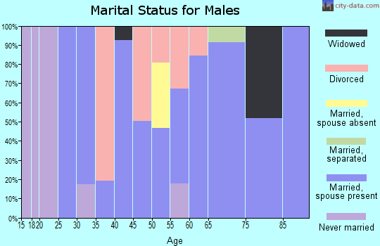 Zip code 36091 marital status for males