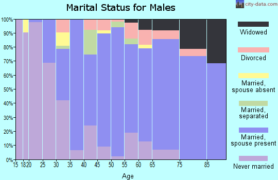 Zip code 36111 marital status for males