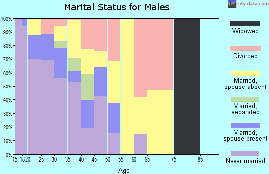 Zip code 36113 marital status for males