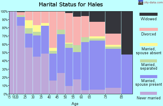 Zip code 36201 marital status for males