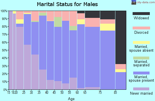 Zip code 36203 marital status for males