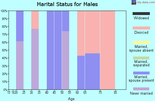 Zip code 36205 marital status for males