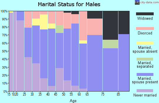 Zip code 36206 marital status for males