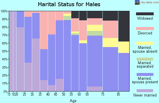 Zip code 36266 marital status for males