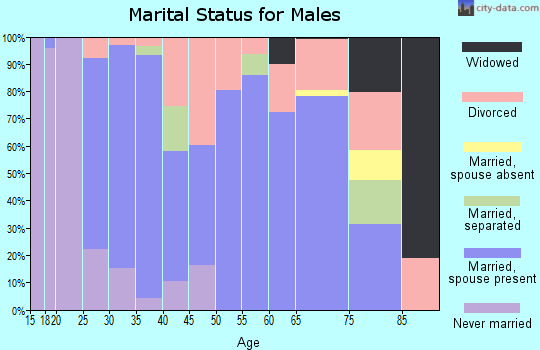 Zip code 36271 marital status for males