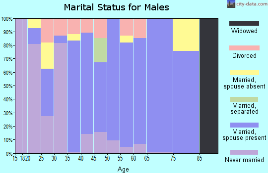 Zip code 36280 marital status for males