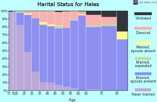 Zip code 36305 marital status for males