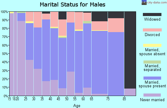 Zip code 36312 marital status for males