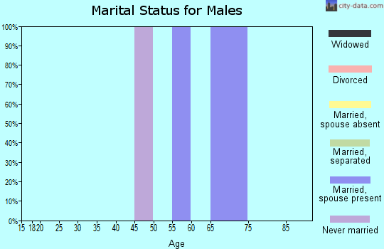 Zip code 36313 marital status for males