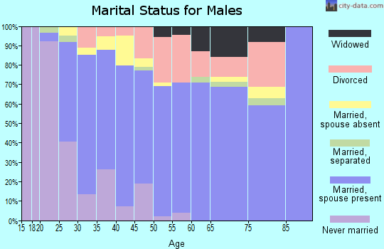 Zip code 36320 marital status for males