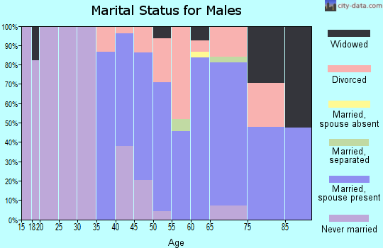 Zip code 36343 marital status for males