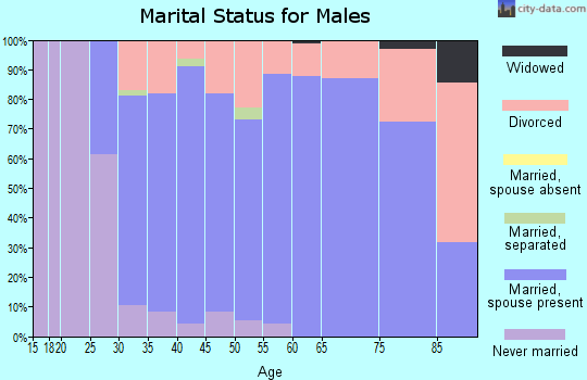 Zip code 36345 marital status for males