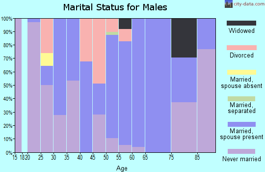 Zip code 36346 marital status for males