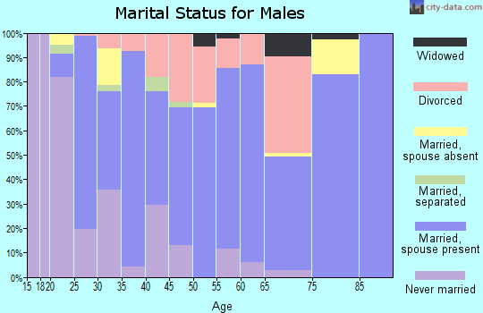 Zip code 36351 marital status for males