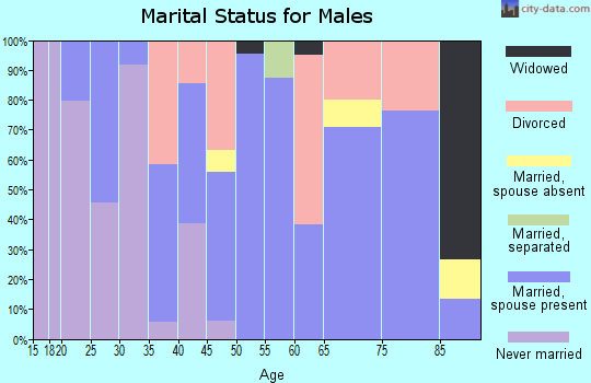 Zip code 36353 marital status for males