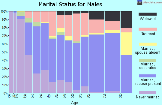 Zip code 36360 marital status for males
