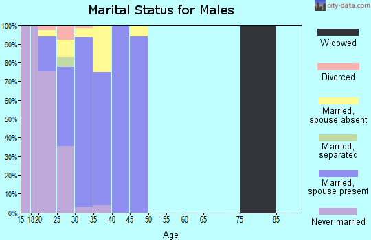 Zip code 36362 marital status for males