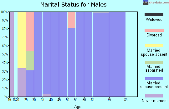 Zip code 36374 marital status for males