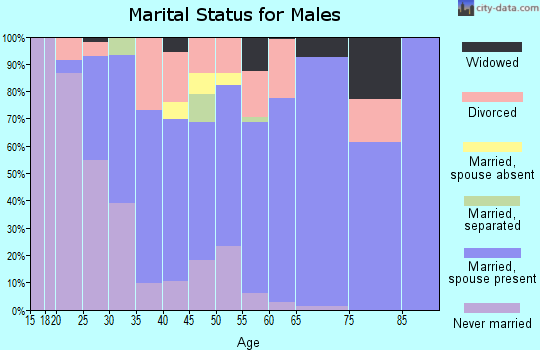Zip code 36375 marital status for males