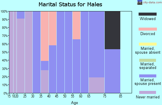 Zip code 36455 marital status for males