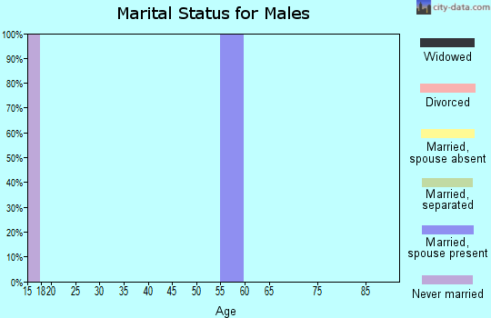 Zip code 36476 marital status for males