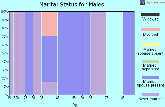 Zip code 36501 marital status for males