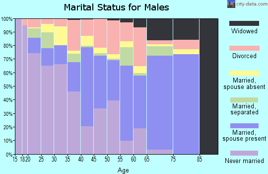 Zip code 36502 marital status for males