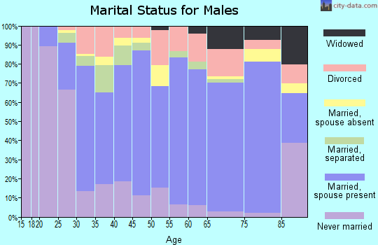 Zip code 36507 marital status for males