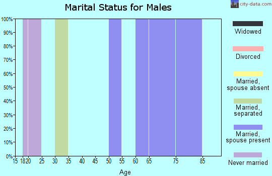 Zip code 36538 marital status for males