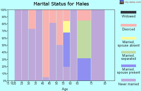 Zip code 36602 marital status for males