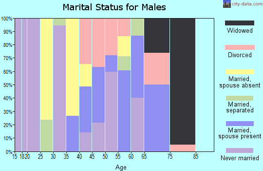 Zip code 36740 marital status for males