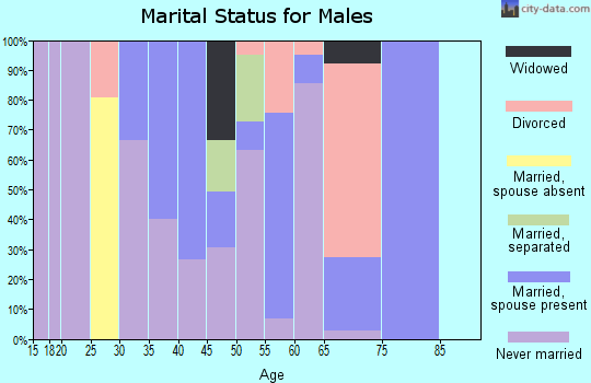 Zip code 36767 marital status for males