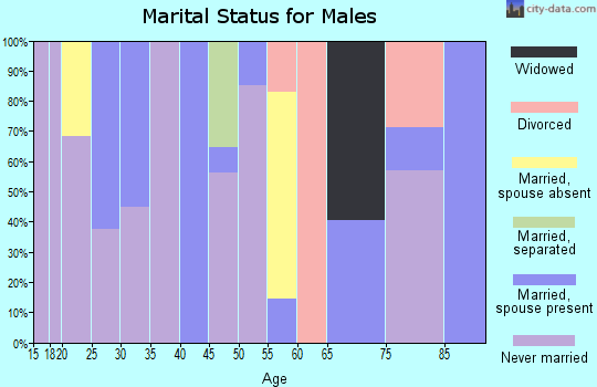 Zip code 36775 marital status for males