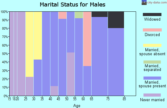 Zip code 36783 marital status for males