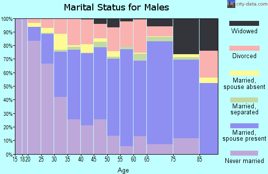 Zip code 36801 marital status for males