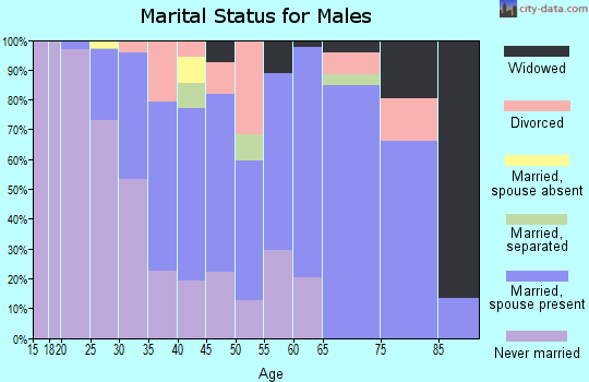Zip code 36832 marital status for males