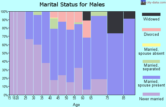 Zip code 36850 marital status for males