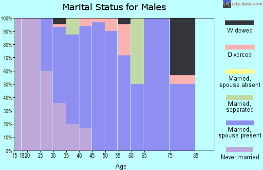 Zip code 36852 marital status for males