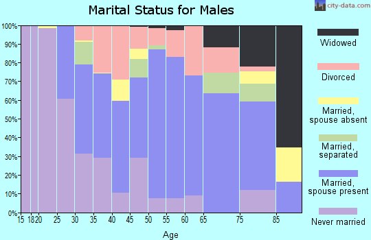 Zip code 36853 marital status for males